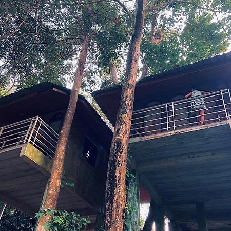 Khao Sok Jungle Huts Resort Khao Sok National Park Dış mekan fotoğraf